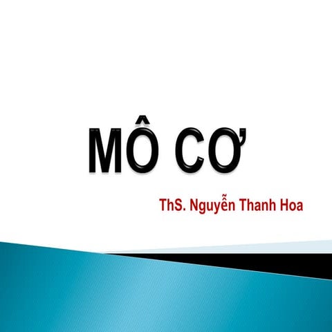 Comprehensive Theoretical Lecture on Muscle Tissue Structure and ...