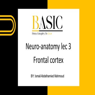Frontal Cortex anatomy and functional areas | PDF