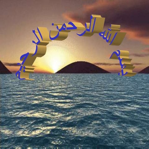 invertebrates : mollusca