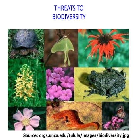 Threats to Biodiversity