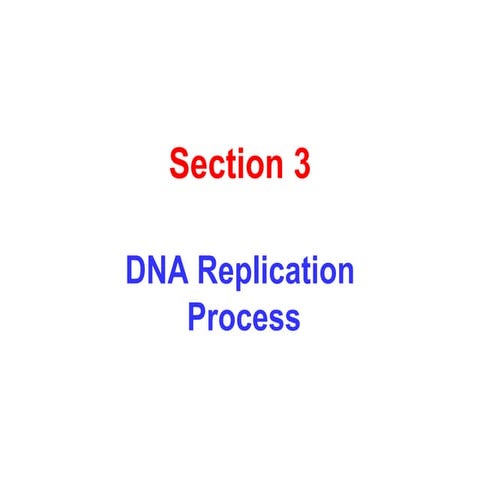 DNA Replication process lecture 2.pptx