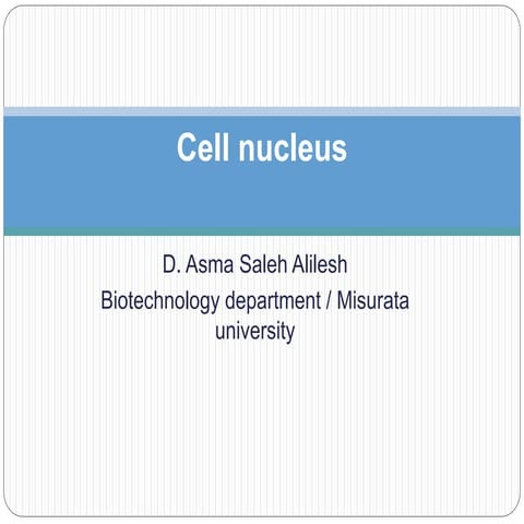 cell nucleus mitochondria chloroplast structure and function