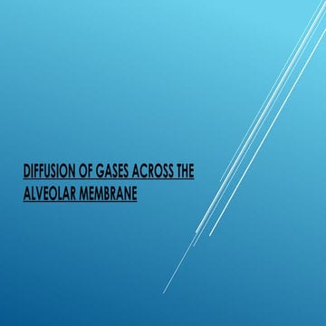 Lec # 4. Physiology for doctor of physical therapy