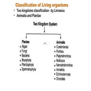 Introduction to pro and eukaryotes and differences.pptx