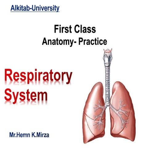 ANATOMY OF RESPIRATORY TRACT upper and lower tract | PPTX
