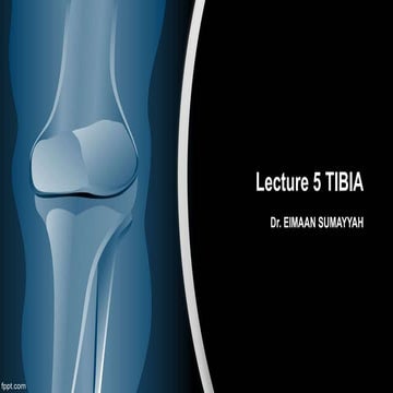 Lec 5 tibia bone