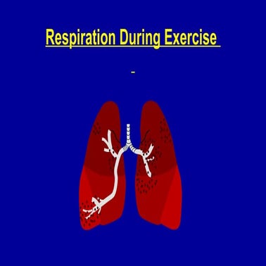 Lec 6b resp  Physiology of Exercise