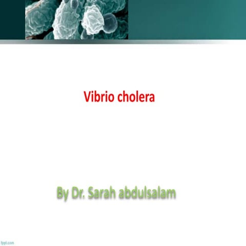lec7- vibrio cholera - theoretical bacteriology.pptx