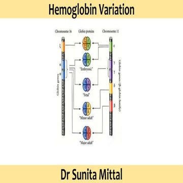 Hemoglobin (Hb) variants - Structure and Functions | PPTX