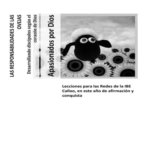 Lecciones para redes de  julio 2010