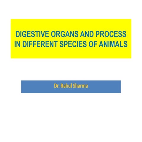 digestive organs of diffrent species of animals