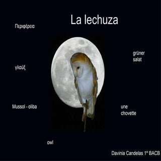 Lechuza