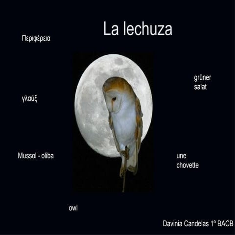 Lechuza