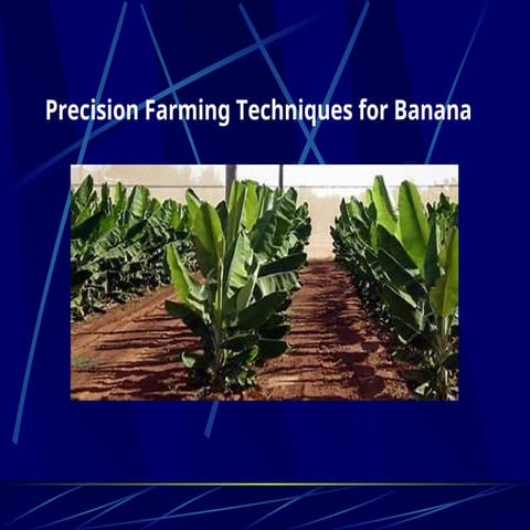 DSGDSDGSFBF VGTRTRRTCSREE  EWF Lec no 10.ppt