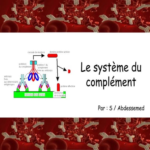 Le système du complément | PPTX