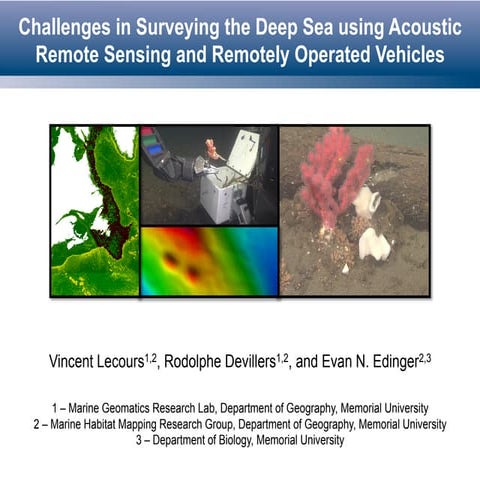Challenges in Surveying the Deep Sea using Acoustic Remote Sensing and Remote...