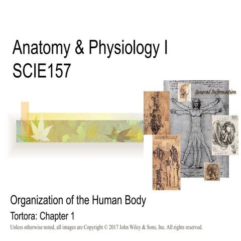 Introduction to the Basics of Human Anatomy and Physiology ...