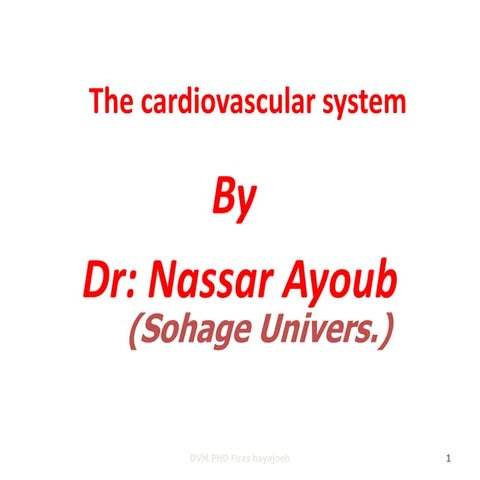 Cardiovascular system