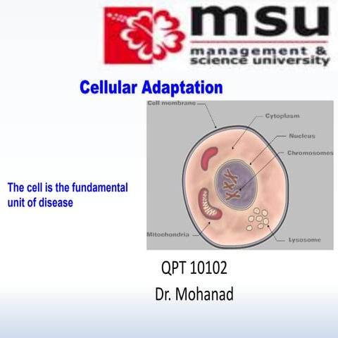 Lect 2- cellular adaptation