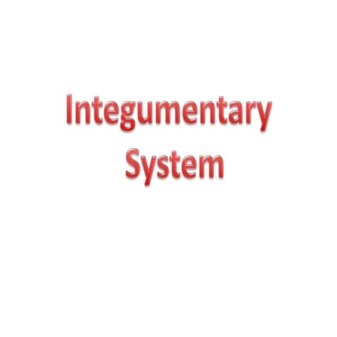 Lect 2 integumentary system