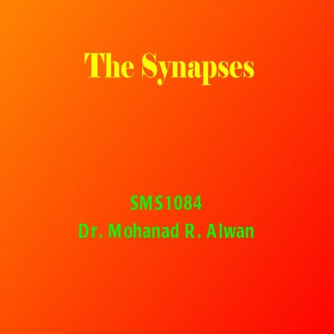 Lect 4-synapse-8-