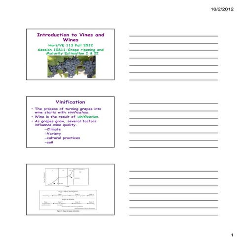Grape | PDF