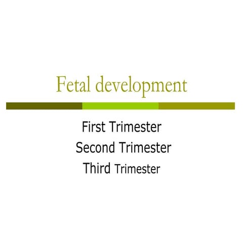 lect 1 Fetal_Development.ppt