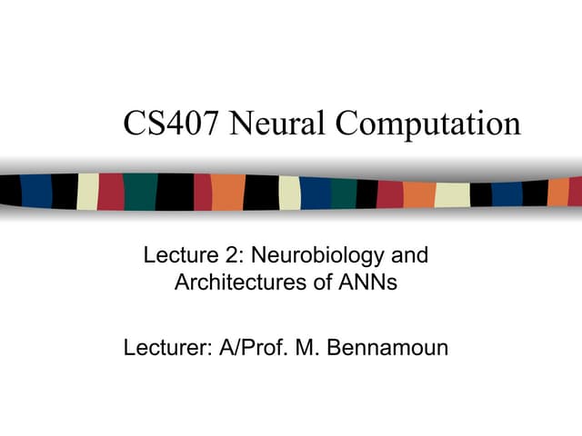 Artificial Neural Networks Lect2: Neurobiology & Architectures of ANNS