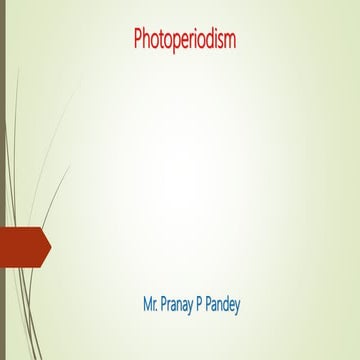 Photoperiodism | PPTX