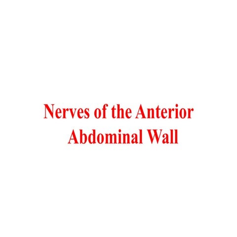 Lect 2  anterior abdominal wall