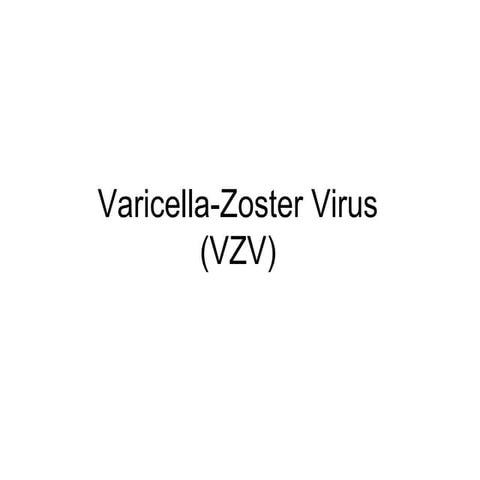 Lect 4 - Varicella-zoster virus (vzv), cmv, ebv