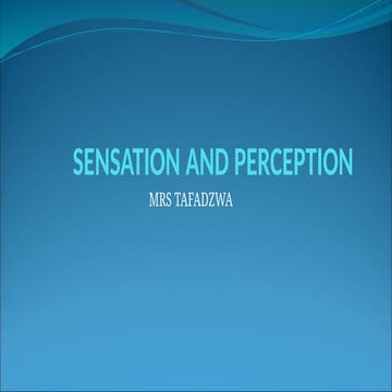 LECT 7. SENSATION AND    PERCEPTION.pptx