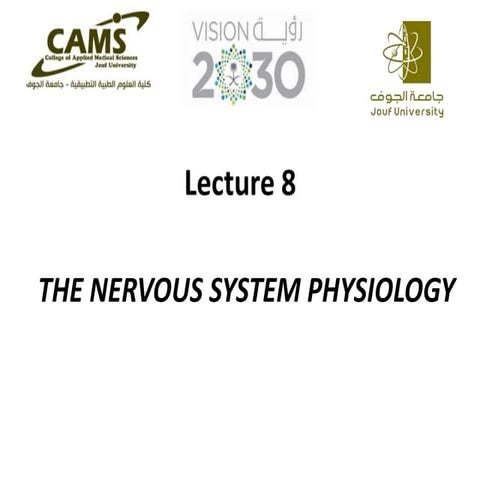 lect 9-nervous system physiology.pptx