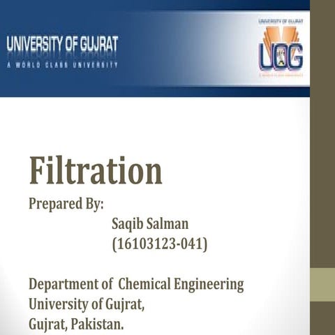 mechanism of filtration, surface and depth filters