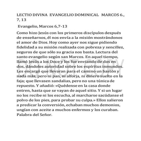 LECTIO DIVINA EVANGELIO DOMINICAL XV TIEMPO ORDINARIO  Mt 6., 7, 13