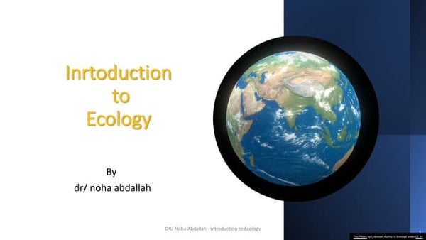 The Components Of An Ecosystem The Components Of An Ecosystem