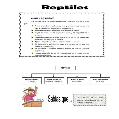 Lectura sobre reptiles