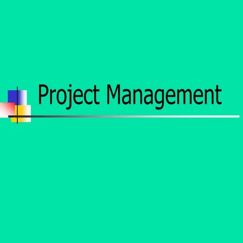 Project Management 101 | PPT