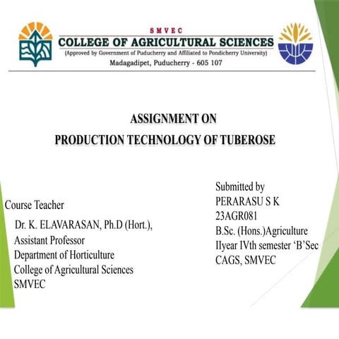 7uhhdykdidistrusistjsjsistjstjzjzjxjxxkdk.pptx