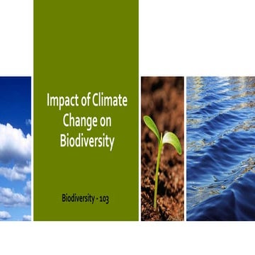 Lecture-16 Bio-103 Impact of Climate Change on Biodiversity (1).pptx