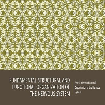 LECTURE-1_Fundamental Structural and Functional Organization of the ...