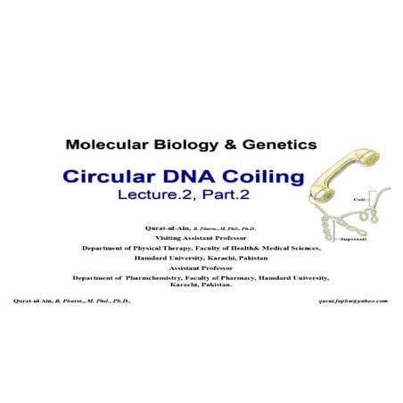 Lecture.2.part.2 DNA Supercoliling