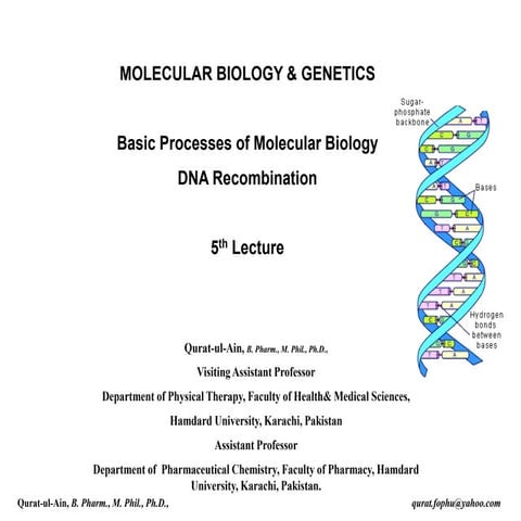Lecture. 5 DNA Recombination