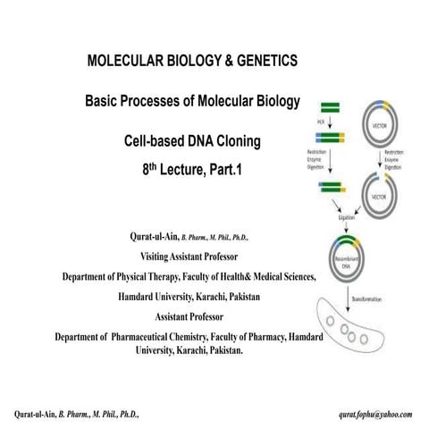 Lecture.8 Basic Molecular Biology Techniques