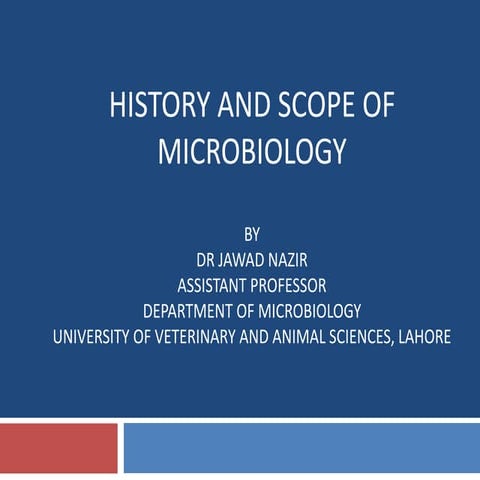  branches, history and scope of microbiology