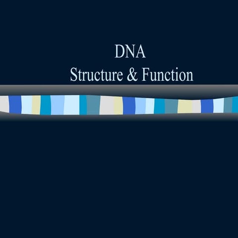Dna | PPT