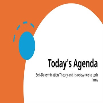Lecture-4-B- Self-Determination Theory and its relevance to tech firms_.pptx