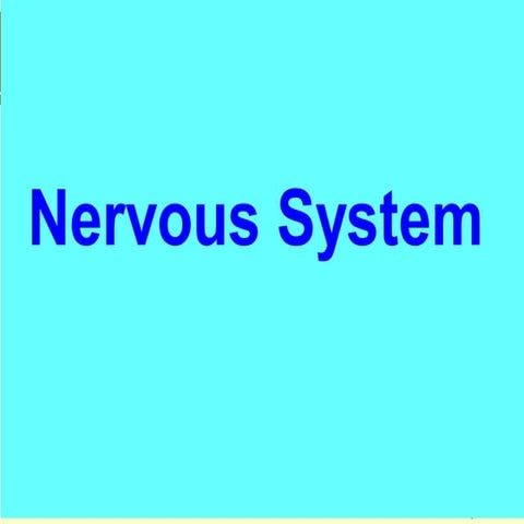 Lecture 5 Nervous System 3 Pdf