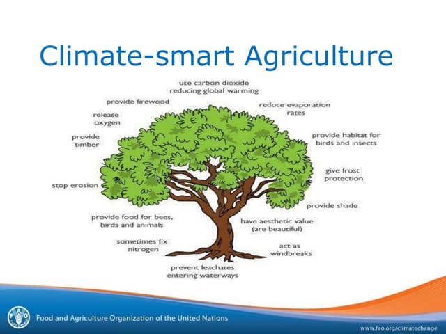 Climate-smart Agriculture