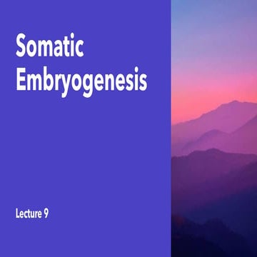 Somatic Embryogenesis of plantssssssssss